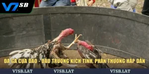 Đá Gà Cựa Dao - Đấu Trường Kịch Tính, Phần Thưởng Hấp Dẫn