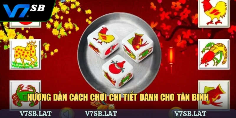 Hướng dẫn cách chơi chi tiết dành cho tân binh